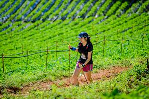 BIB: 
                            <button type="button" onclick="openModal(19163368)" class="btn btn-primary btn-sm float-right btn-popup" data-toggle="modal" data-target=".modal-high-quality">
                        <i class="fas fa-shopping-cart"></i> Add to Cart
                    </button>
                                            <button type="button" onclick="isThisMe(19163368, true)" class="btn btn-success btn-sm float-right btn-popup btn-isme hidden" data-toggle="tooltip" data-placement="bottom" title="นี่คือรูปของคุณใช่ไหม คลิกที่นี่เพื่อเอาเข้าอัลบั้ม">
                        <i class="fas fa-plus"></i> Add to album
                    </button>
                    <button type="button" onclick="isThisMe(19163368, false)" class="btn btn-warning btn-sm float-right btn-popup btn-isnotme hidden">
                        <i class="fas fa-ban"></i> Remove from album
                    </button>